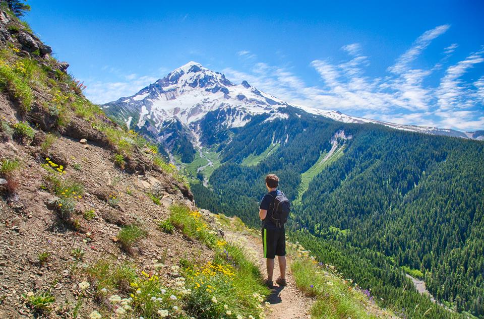 Lolo Pass Trail to Bald Mountain